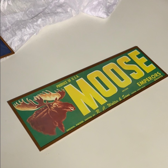 Produce of USA Moose - Picture 2 of 5